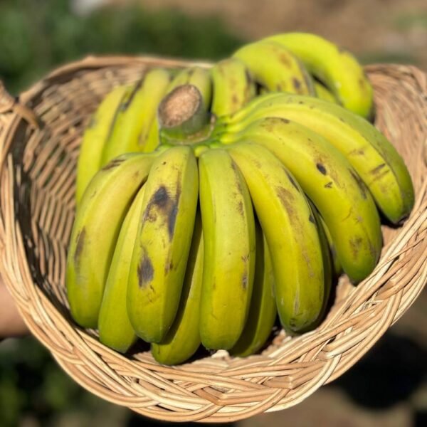 Banane (kg)