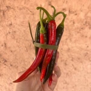 Piments Forts (Botte)