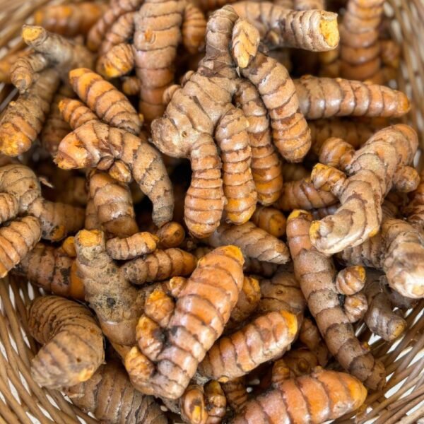 Curcuma Frais (125g)