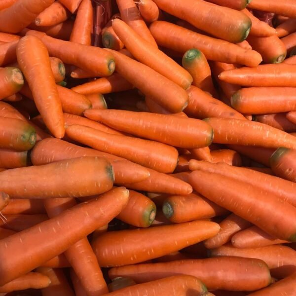 Carottes (Kg)