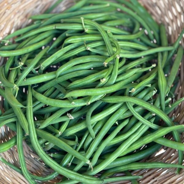 Haricot Vert (1/2kg)