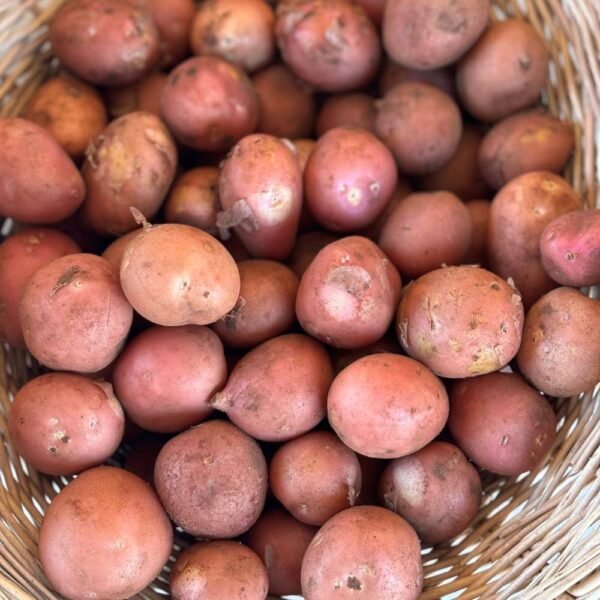 Pomme de Terre Petite (1/2 Kg)