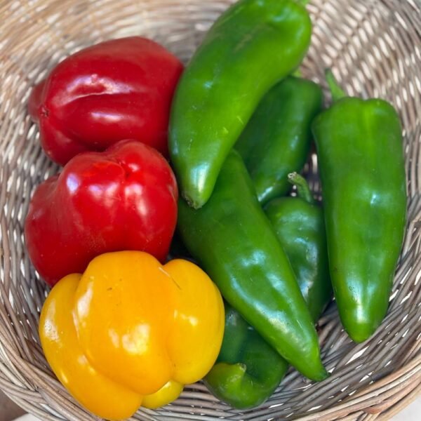 Poivrons Doux Mélange (1/2 Kg)