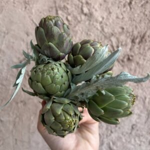 Artichaut Vert (1/2kg)