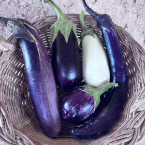 Aubergine Variée (1/2 kg)