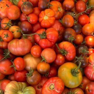 Tomate Variété Ancienne (1/2kg)