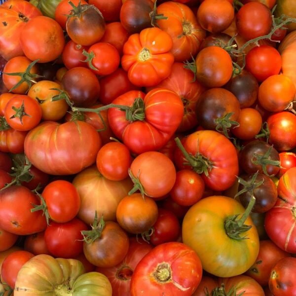 Tomate Variété Ancienne (1/2kg)