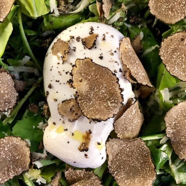 Burrata à la Truffe (Unité)
