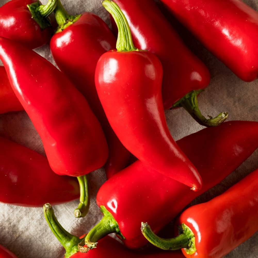 Poivrons Doux Rouge (1/2 Kg) - Vallée Des Sens