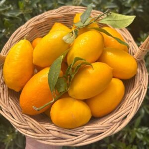 Citron Limequat (1/2kg)