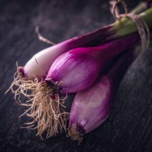 Oignons Nouveaux Rouges (Botte)