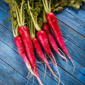 Radis Chinois Rose (Botte)