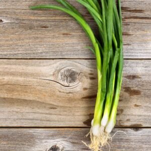 Ciboule de Chine-Oignon Vert (Botte)